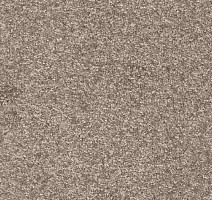 Ковролин AW Gaia Equinox 49 фото 1 | FLOORDEALER